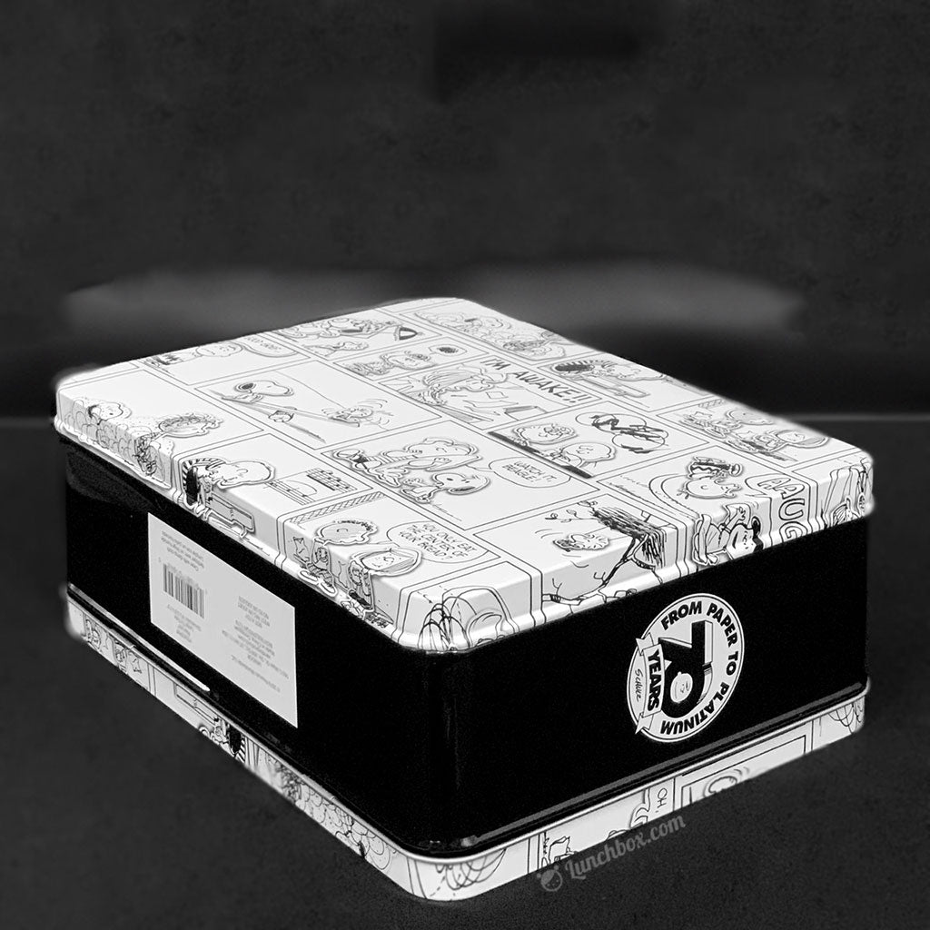 Charlie Brown Peanuts Comics Lunchbox