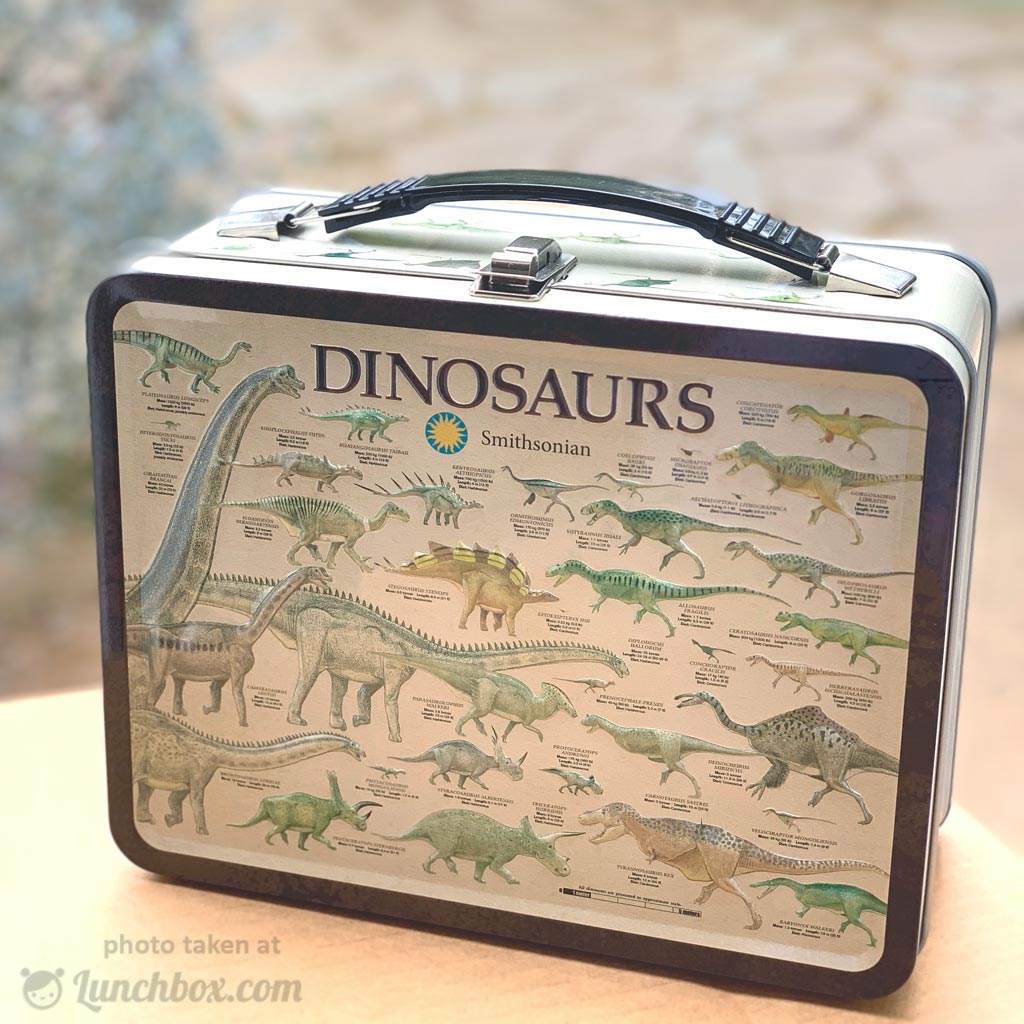 Dinosaur Lunch Box