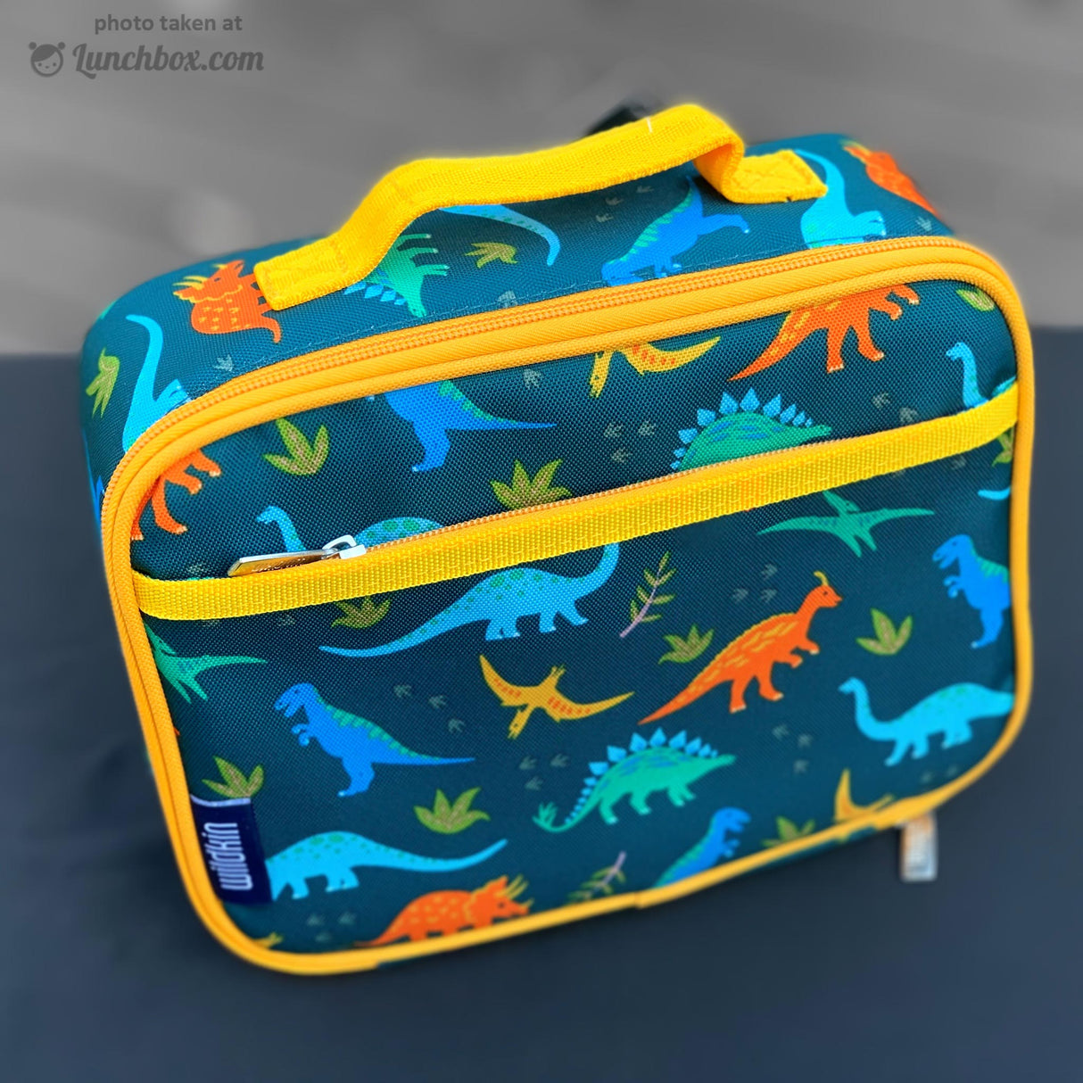 Dinosaur Lunch Box