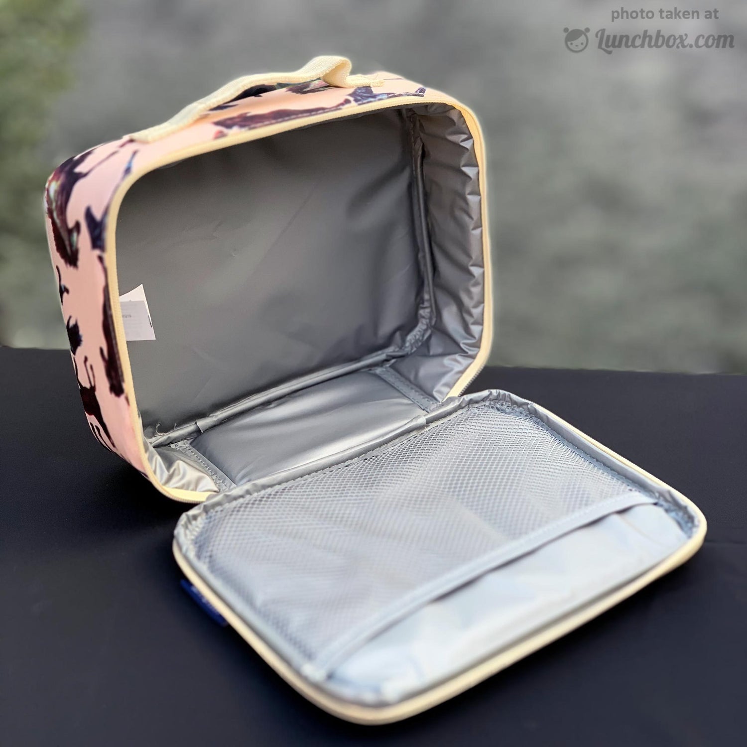 Horse Dreams Lunch Box