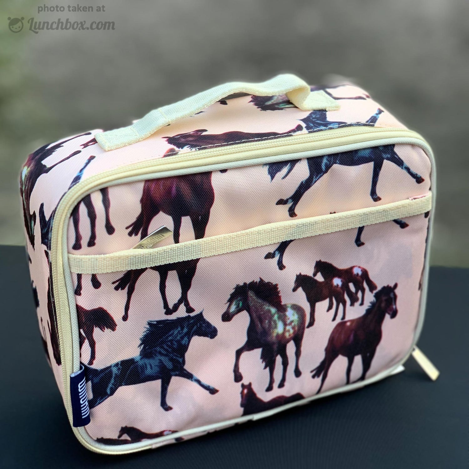 Horses Lunch Box