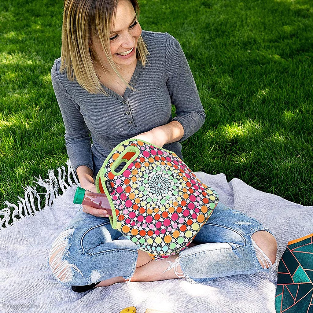 Insulated Lunch Box Rainbow