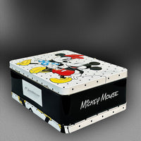 Minnie and Mickey Mouse Lunchbox