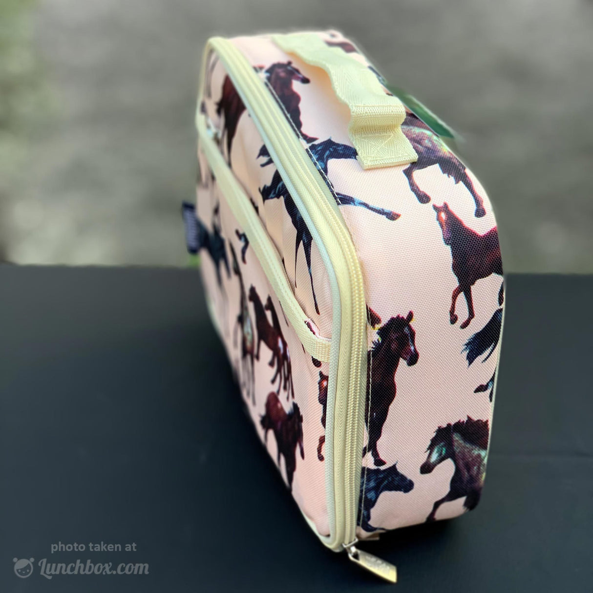 Pony Lunch Box