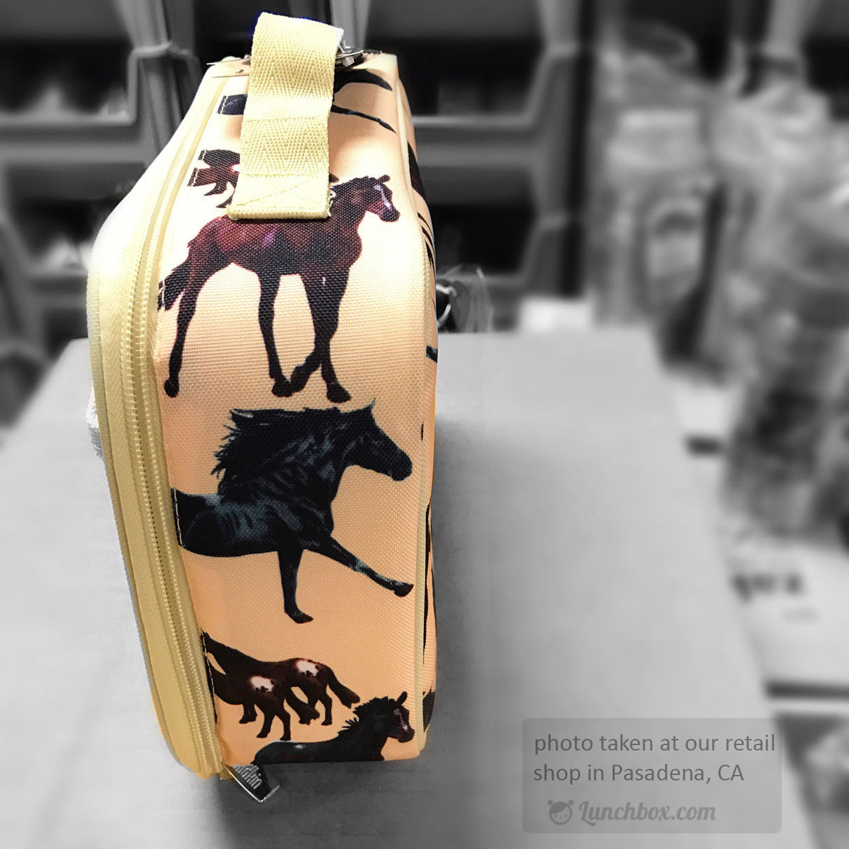 Pony School Lunchbox