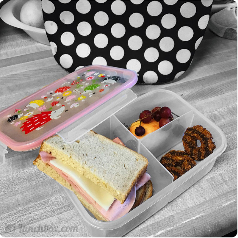 School Lunch Today