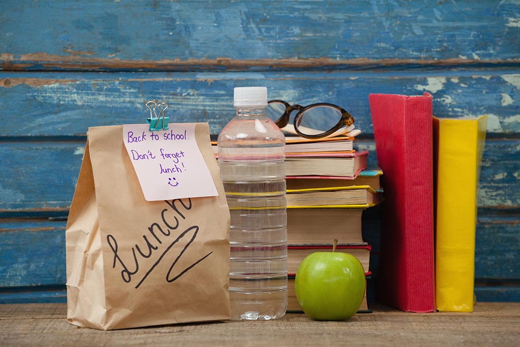 Mother Turns Her Sons School Lunch Bags Into Works of Art