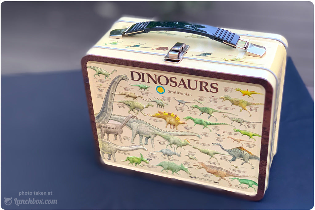 Dinosaur Lunch Box