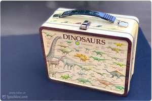 Dinosaur Lunch Box