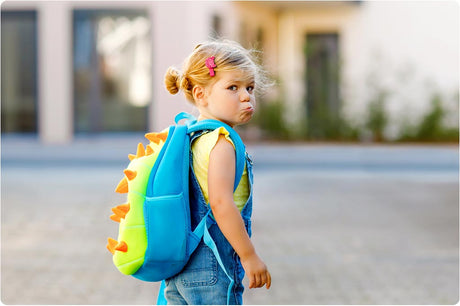 Going to School Lunch Box