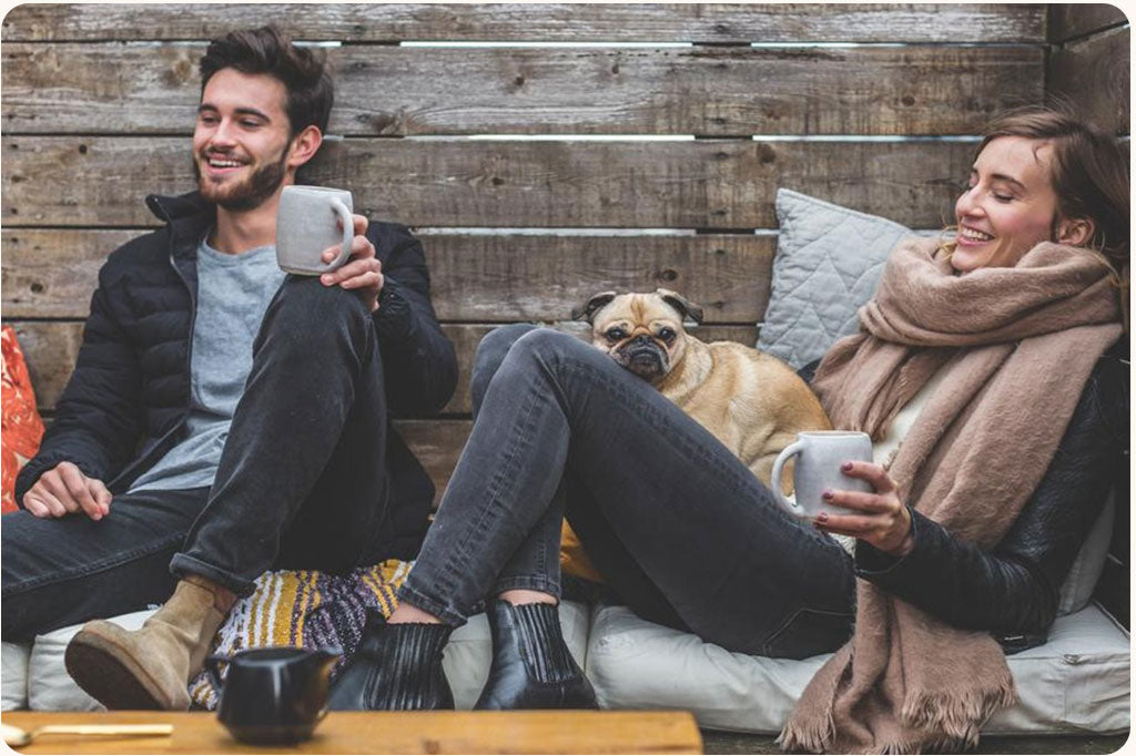 How Dogs Went From Wolves to Man's Best Friend, According to Scientists