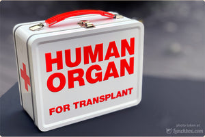 Human Organ For Transplant Lunch Box