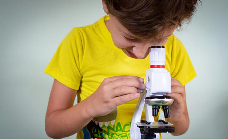 Kid Scientists