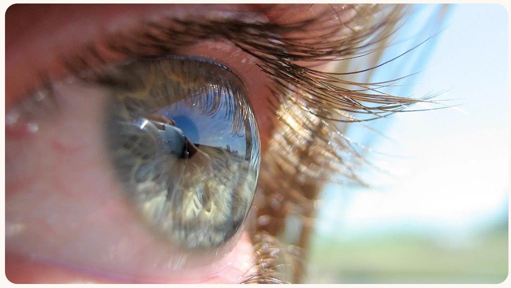 Open-Minded People Have A Different Visual Perception Of Reality