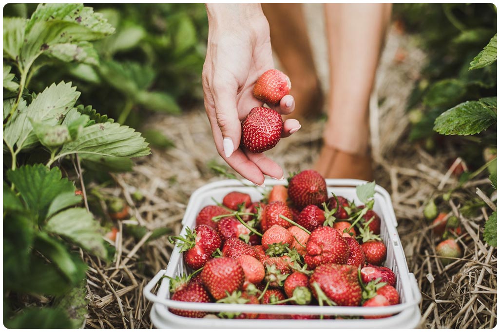 How Farming Saved My Body Image