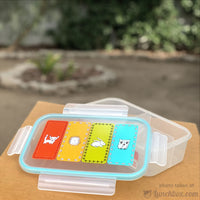 Adult Bento Box