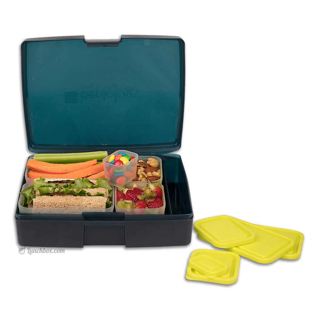 https://www.lunchbox.com/cdn/shop/products/classic-bento-box_1024x1024.jpg?v=1600736980