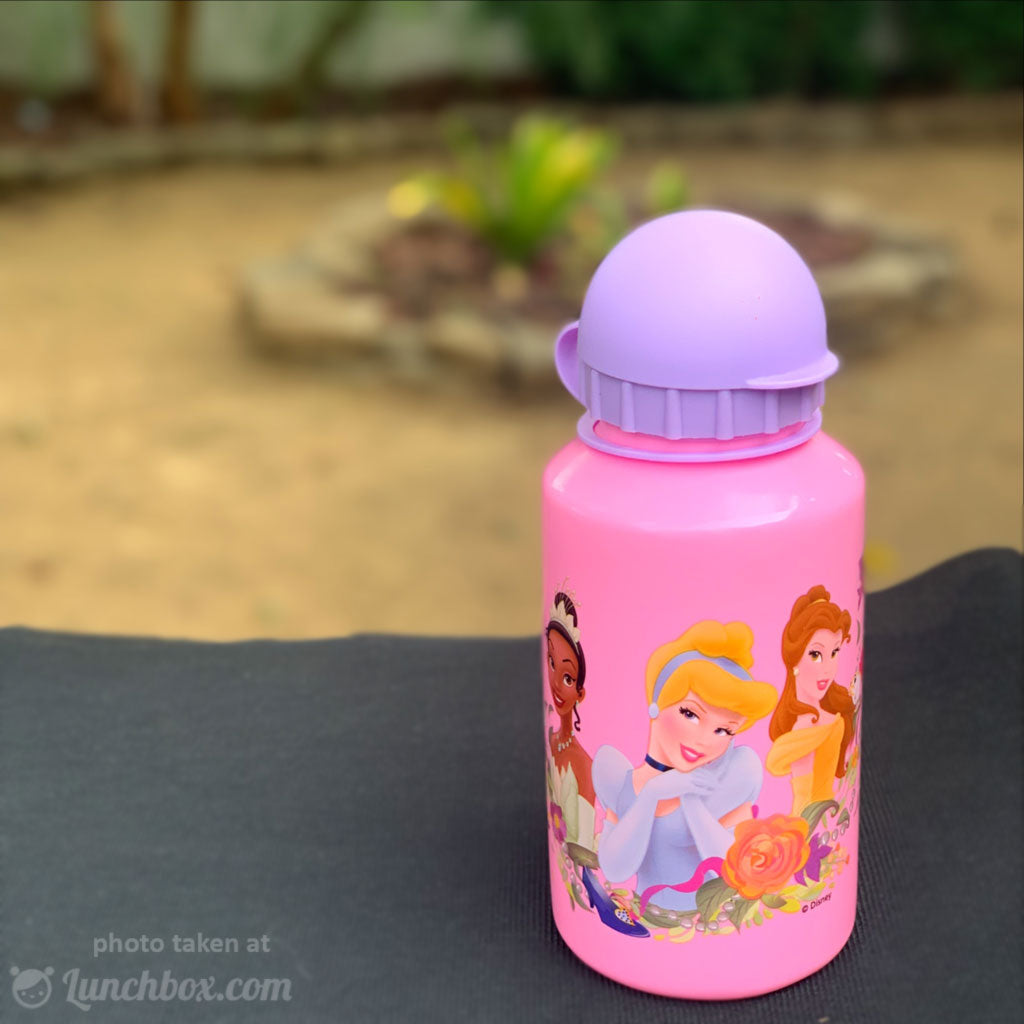 https://www.lunchbox.com/cdn/shop/products/disney-princess-thermos-bottle_4222a6dc-8e63-4028-872d-2fd87cb2f0a5_1024x1024.jpg?v=1548027890