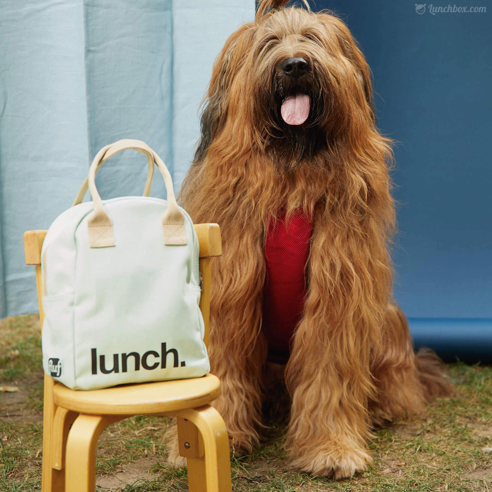 Mint Green Lunch Bag