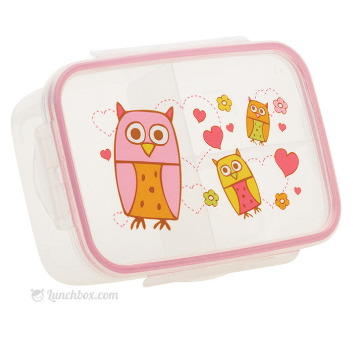 Cozy Tiger Bento Lunch Box – Wonder Owls