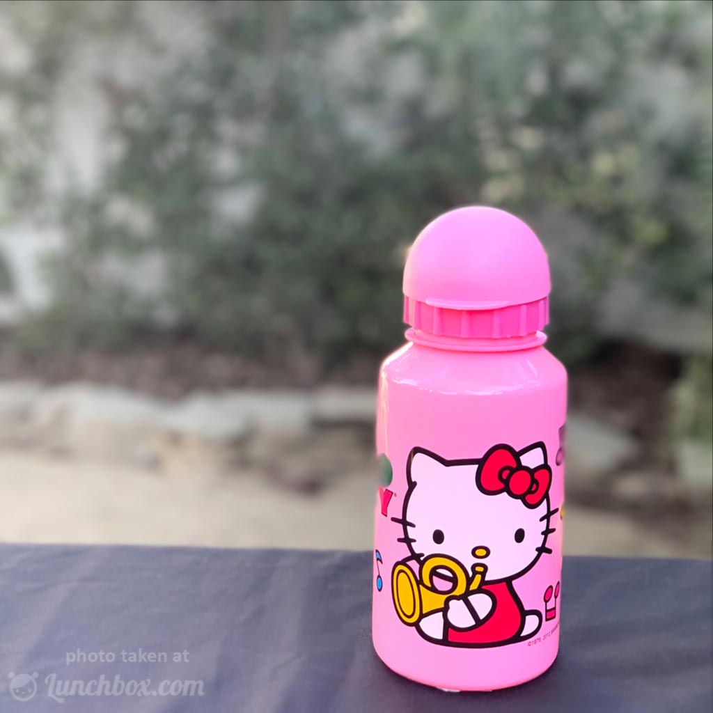 Hello Kitty Water Bottle