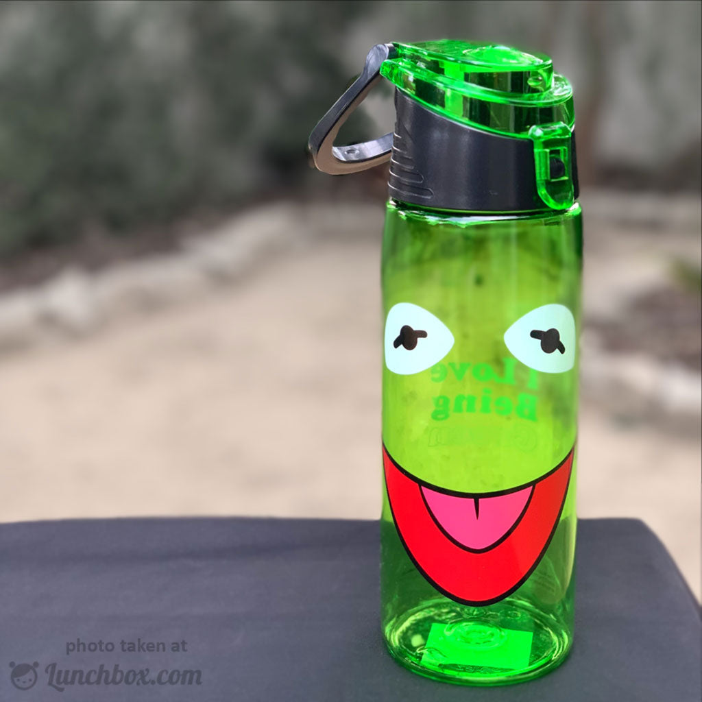 Kermit Thermos Bottle