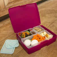 Laptop Lunches Bento Box